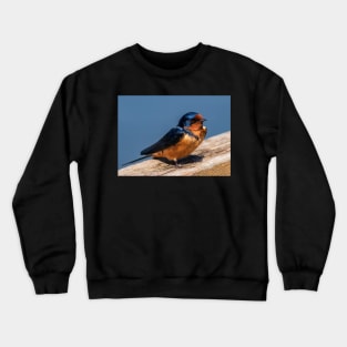 Barn Swalllow Portrait Crewneck Sweatshirt